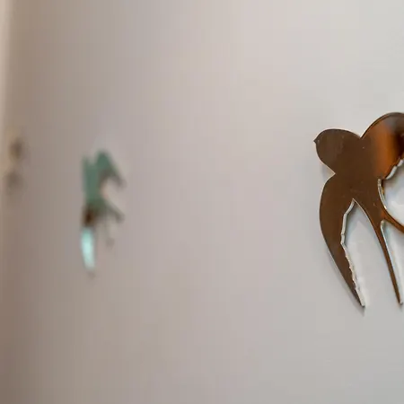 Rosas Vista Baia Do Funchal